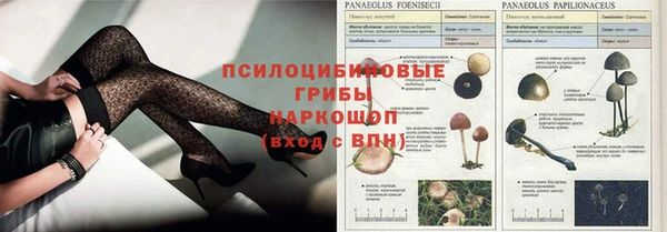 молекула духа Верея