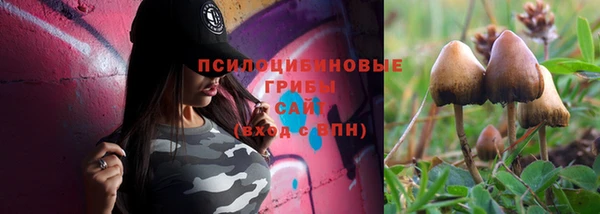 МДПВ Белоозёрский