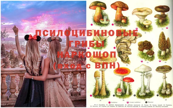 прущая мука Верхний Тагил