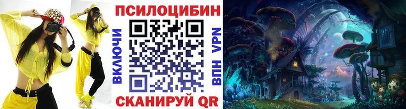 kraken вход  Пионерский  Галлюциногенные грибы Psilocybine cubensis 